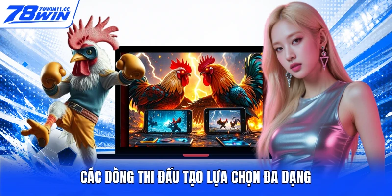 Các dòng thi đấu tạo lựa chọn đa dạng